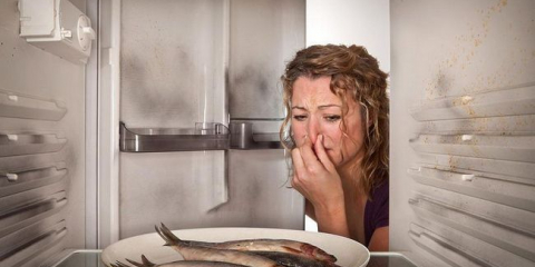 Jak se zbavit zápachu v lednici: oblíbené způsoby, jak se zbavit zápachu